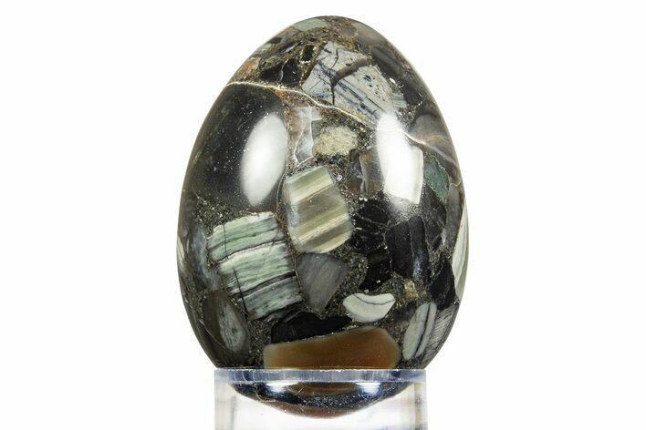 Polished Black Brecciated Chert Egg - Australia #308854